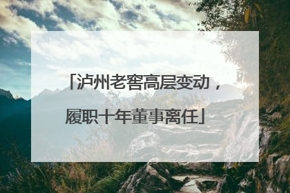 泸州老窖高层变动，履职十年董事离任