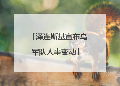 泽连斯基宣布乌军队人事变动