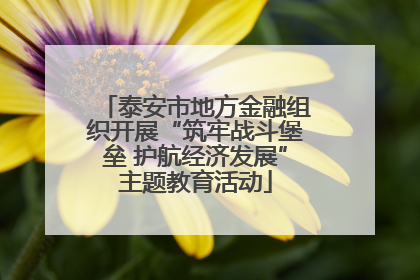泰安市地方金融组织开展“筑牢战斗堡垒 护航经济发展”主题教育活动