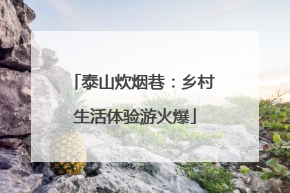 泰山炊烟巷：乡村生活体验游火爆