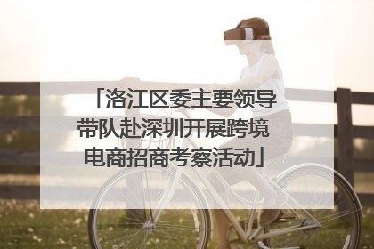 洛江区委主要领导带队赴深圳开展跨境电商招商考察活动