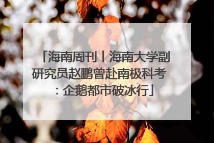 海南周刊丨海南大学副研究员赵鹏曾赴南极科考：企鹅都市破冰行