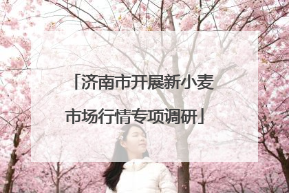 济南市开展新小麦市场行情专项调研