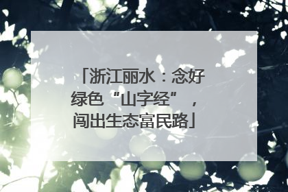 浙江丽水：念好绿色“山字经”，闯出生态富民路