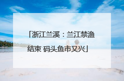 浙江兰溪：兰江禁渔结束 码头鱼市又兴