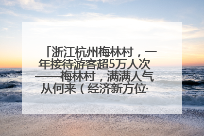 浙江杭州梅林村，一年接待游客超5万人次——梅林村，满满人气从何来（经济新方位·农村消费观察）