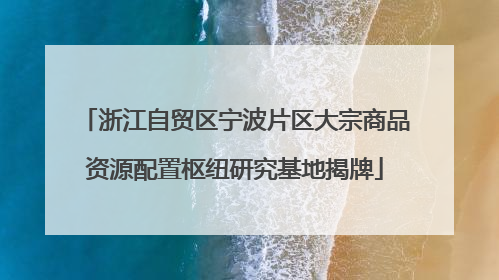 浙江自贸区宁波片区大宗商品资源配置枢纽研究基地揭牌