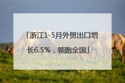 浙江1-5月外贸出口增长6.5%，领跑全国