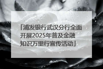 浦发银行武汉分行全面开展2025年普及金融知识万里行宣传活动