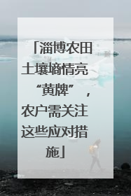 淄博农田土壤墒情亮“黄牌”，农户需关注这些应对措施