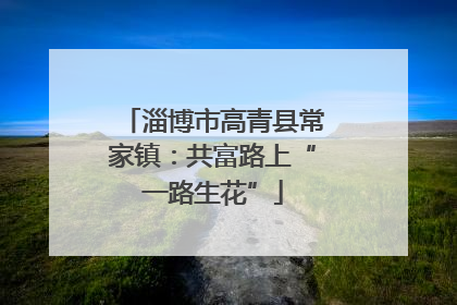 淄博市高青县常家镇：共富路上“一路生花”