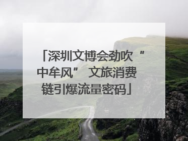 深圳文博会劲吹“中牟风” 文旅消费链引爆流量密码