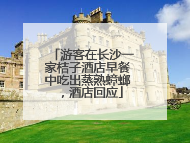 游客在长沙一家桔子酒店早餐中吃出蒸熟蟑螂，酒店回应