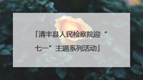 清丰县人民检察院迎“七一”主题系列活动