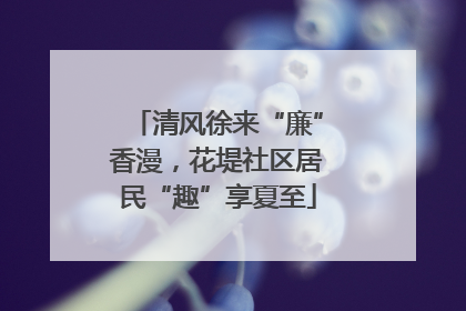 清风徐来“廉”香漫，花堤社区居民“趣”享夏至