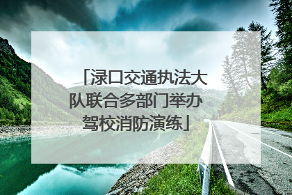 渌口交通执法大队联合多部门举办驾校消防演练