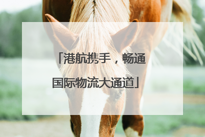 港航携手，畅通国际物流大通道