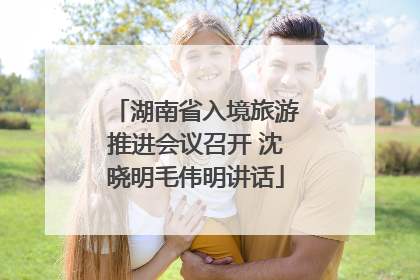 湖南省入境旅游推进会议召开 沈晓明毛伟明讲话