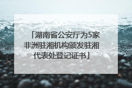 湖南省公安厅为5家非洲驻湘机构颁发驻湘代表处登记证书