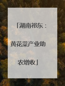 湖南祁东：黄花菜产业助农增收