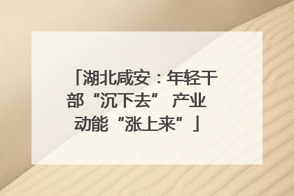 湖北咸安：年轻干部“沉下去” 产业动能“涨上来”
