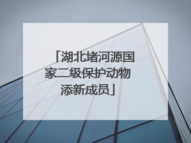 湖北堵河源国家二级保护动物添新成员