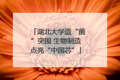 湖北大学造“菌”突围 生物制造点亮“中国芯”