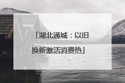 湖北通城：以旧换新激活消费热