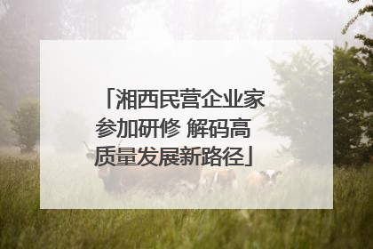 湘西民营企业家参加研修 解码高质量发展新路径