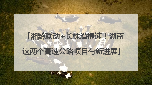 湘黔联动+长株潭提速！湖南这两个高速公路项目有新进展