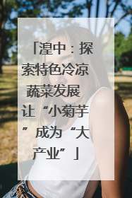 湟中：探索特色冷凉蔬菜发展 让“小菊芋”成为“大产业”
