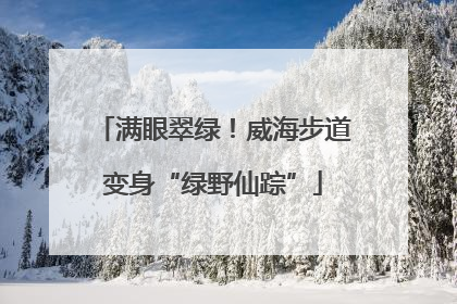 满眼翠绿！威海步道变身“绿野仙踪”