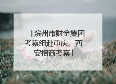 滨州市财金集团考察组赴重庆、西安招商考察