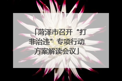 菏泽市召开“打非治违”专项行动方案解读会议