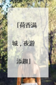 荷香满城，夜游添趣
