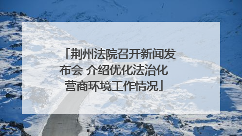荆州法院召开新闻发布会 介绍优化法治化营商环境工作情况