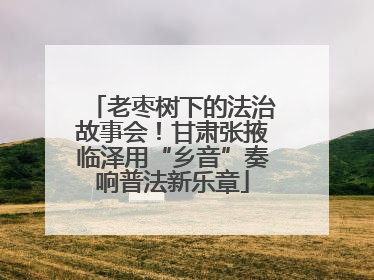 老枣树下的法治故事会！甘肃张掖临泽用“乡音”奏响普法新乐章