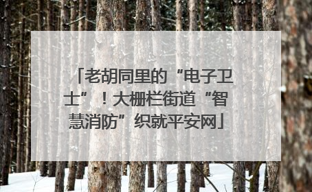 老胡同里的“电子卫士”！大栅栏街道“智慧消防”织就平安网