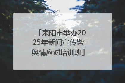 耒阳市举办2025年新闻宣传暨舆情应对培训班