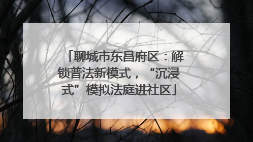 聊城市东昌府区：解锁普法新模式，“沉浸式”模拟法庭进社区
