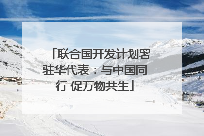 联合国开发计划署驻华代表：与中国同行 促万物共生