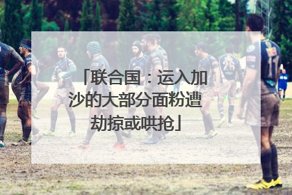 联合国：运入加沙的大部分面粉遭劫掠或哄抢