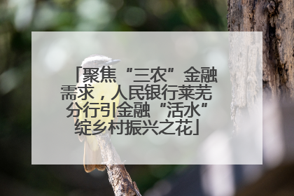 聚焦“三农”金融需求，人民银行莱芜分行引金融“活水”绽乡村振兴之花
