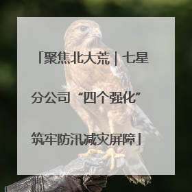 聚焦北大荒｜七星分公司“四个强化”筑牢防汛减灾屏障