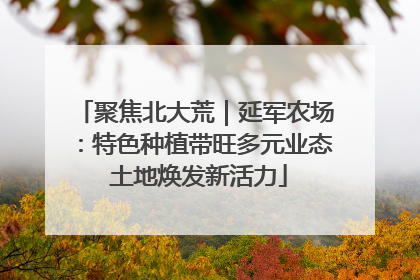 聚焦北大荒｜延军农场：特色种植带旺多元业态 土地焕发新活力