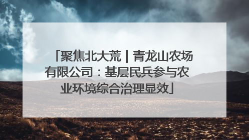 聚焦北大荒｜青龙山农场有限公司：基层民兵参与农业环境综合治理显效