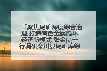 聚焦尾矿深度综合治理 打造有色金属循环经济新模式 张金良一行调研栾川县尾矿库综合治理工作