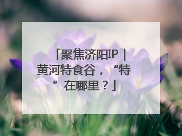 聚焦济阳IP｜黄河特食谷，“特”在哪里？