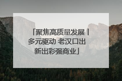 聚焦高质量发展丨多元驱动 老汉口出新出彩强商业