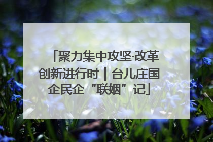 聚力集中攻坚·改革创新进行时｜台儿庄国企民企“联姻”记